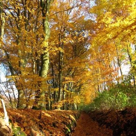 Apartmán Het Appense Veld Klarenbeek Exteriér fotografie