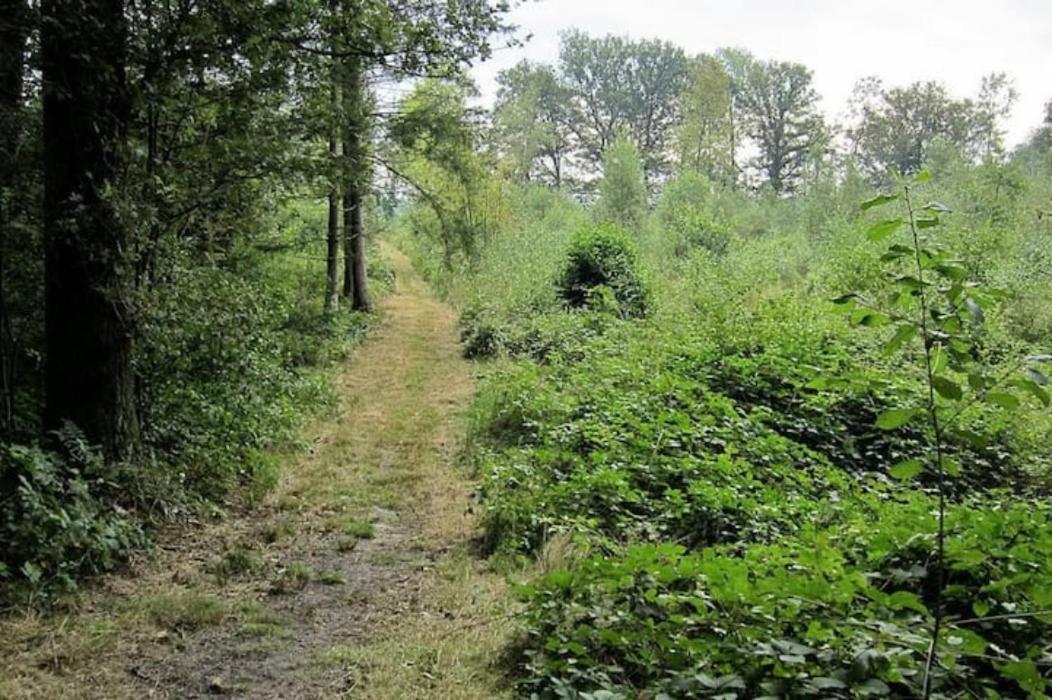 Apartmán Het Appense Veld Klarenbeek Exteriér fotografie