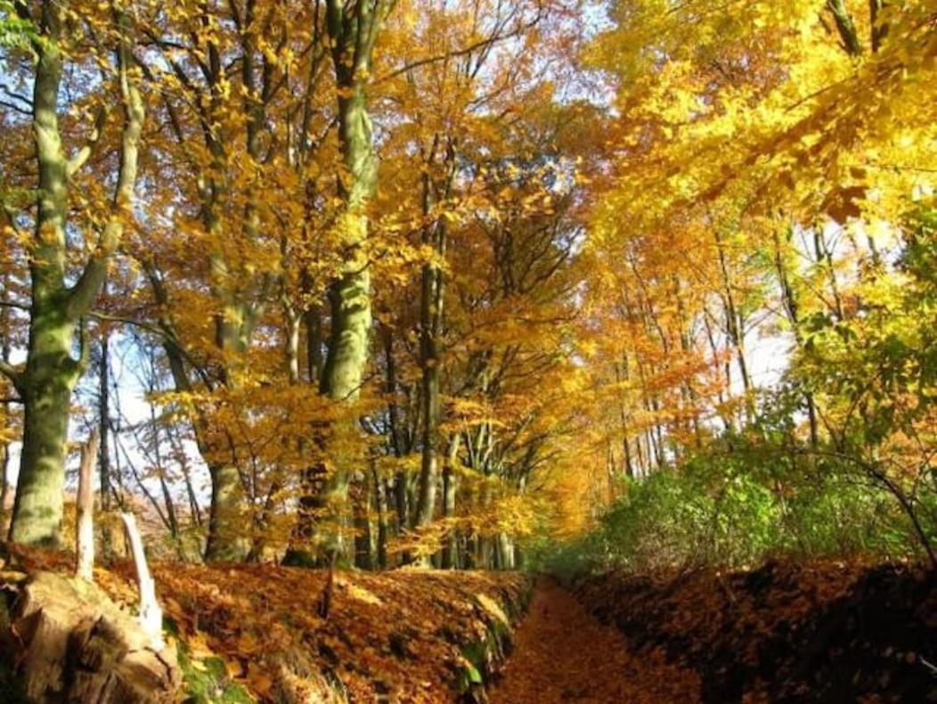 Apartmán Het Appense Veld Klarenbeek Exteriér fotografie